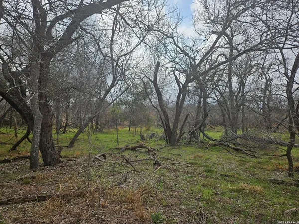 a view of outdoor space with trees