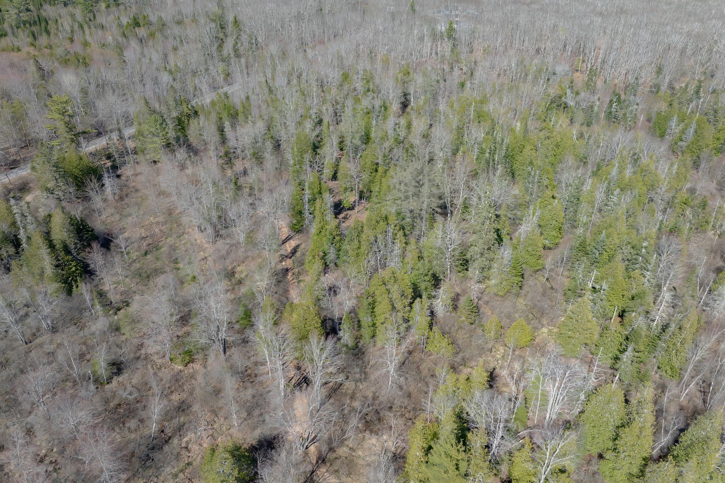 0 Kingdom Road Blue Hill, ME 04614 - Photo 9 of 14 13-Kingdom Road Land-DTP
