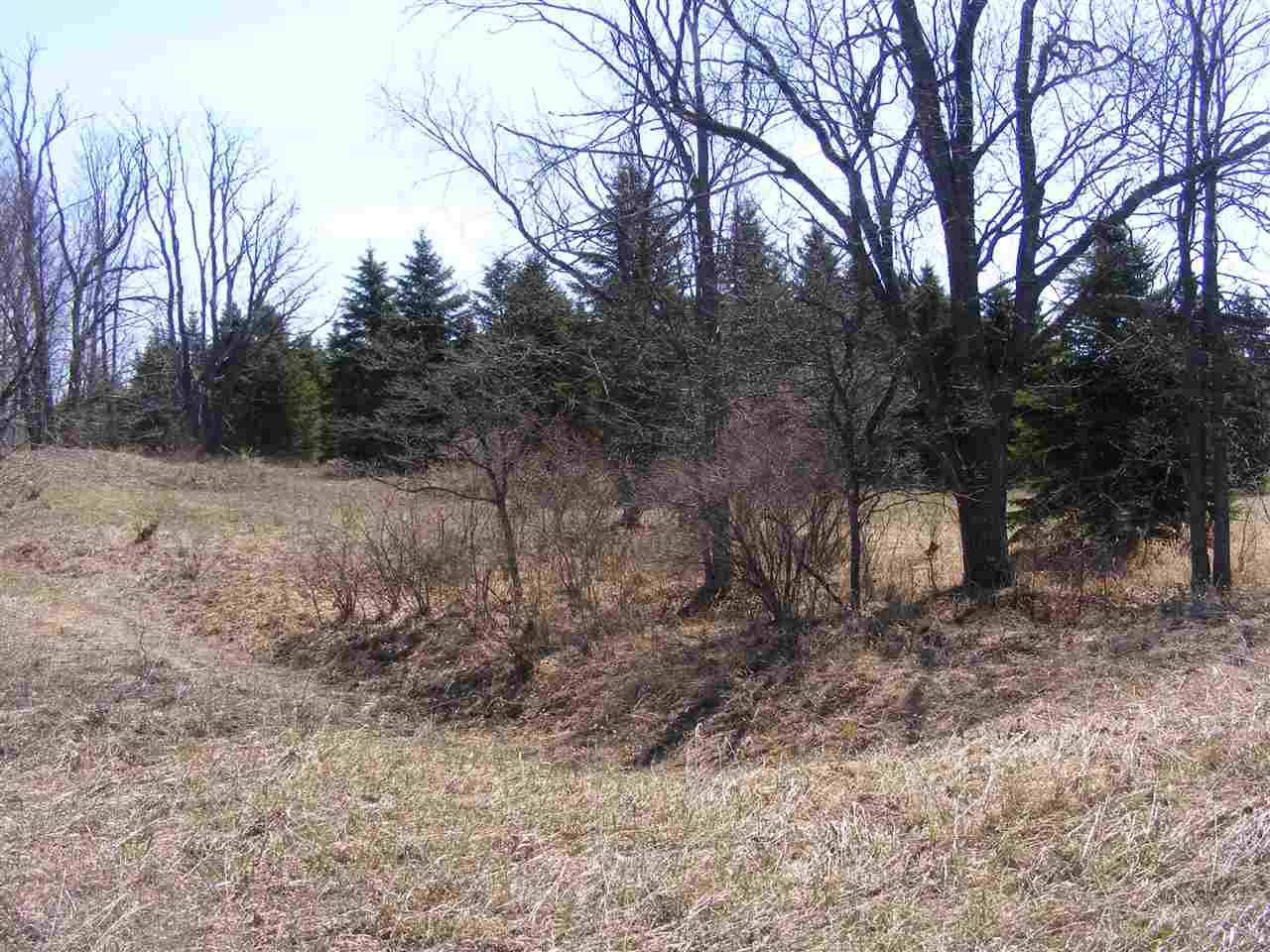 2040 East 2 1/2 Road Kingsley, MI 49649 - Photo 24 of 47 1843797-23.JPG
