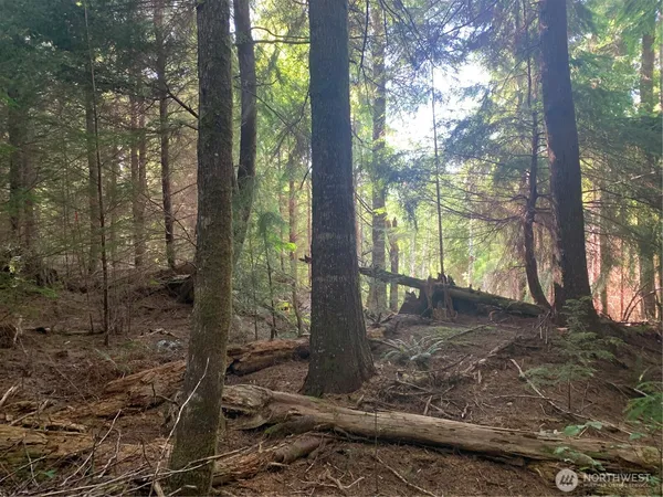 $124,500 | 1-tract Parpala Road, Naselle, WA 98638