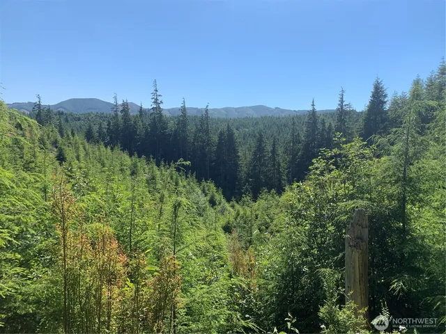 $129,500 | 1-tract Parpala Road, Naselle, WA 98638