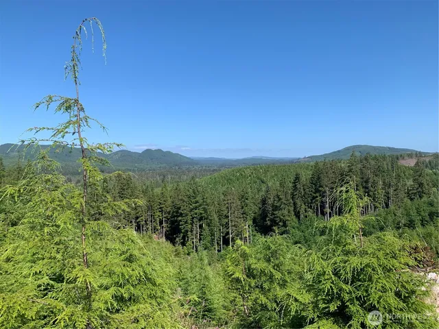 a view of a city with lush green forest