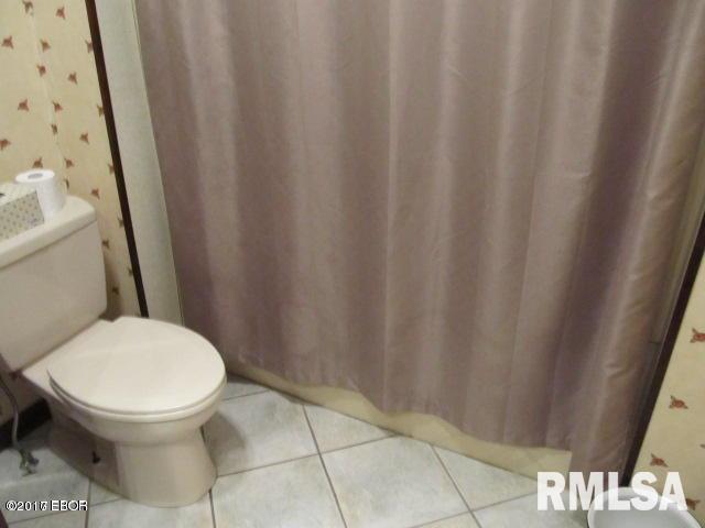 305 West 3rd Street Ina, IL 62846 - Photo 17 of 50