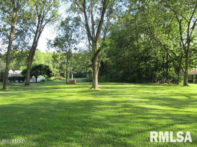 305 West 3rd Street Ina, IL 62846 - Photo 46 of 50