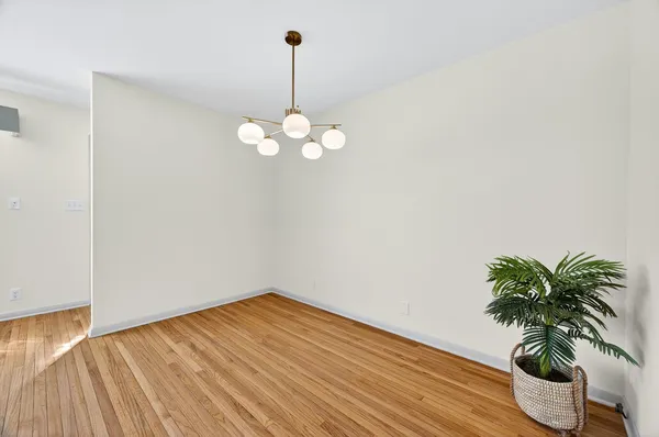 a view of a room with wooden floor and a potted plant