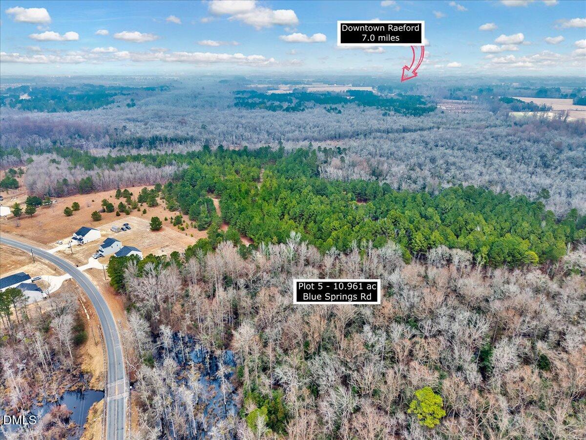 Lot 5 Blue Springs Road Red Springs, NC 28377 - Photo 6 of 9 a view of a outdoor space