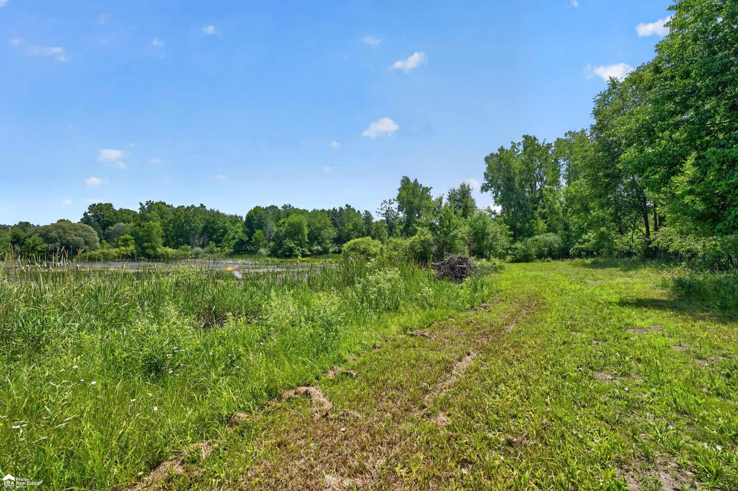 5498 Piersonville Road Columbiaville, MI 48421 - Photo 22 of 38