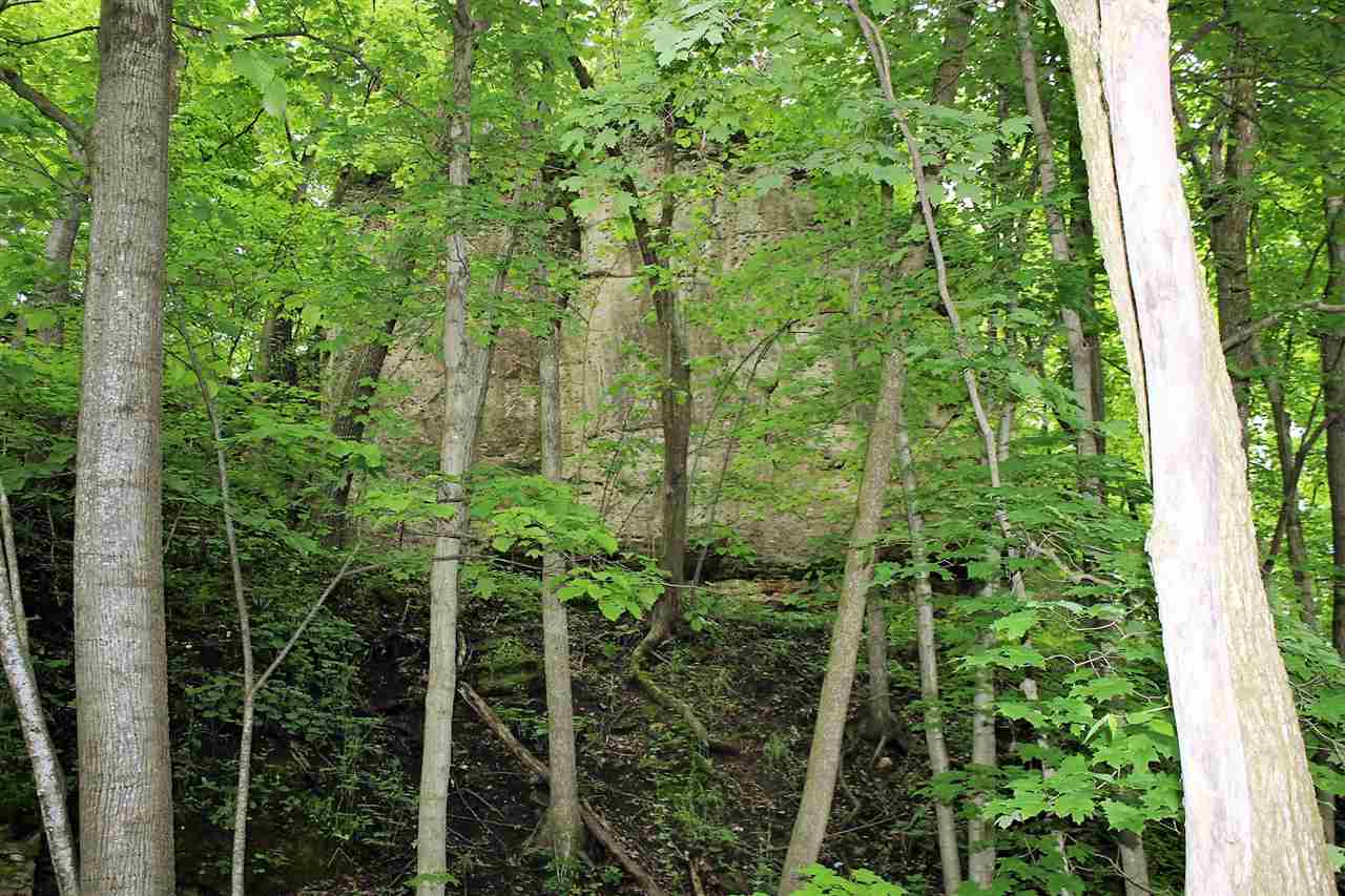 79th Street Preston, IA 52069 - Photo 10 of 21 Gallery Image 10