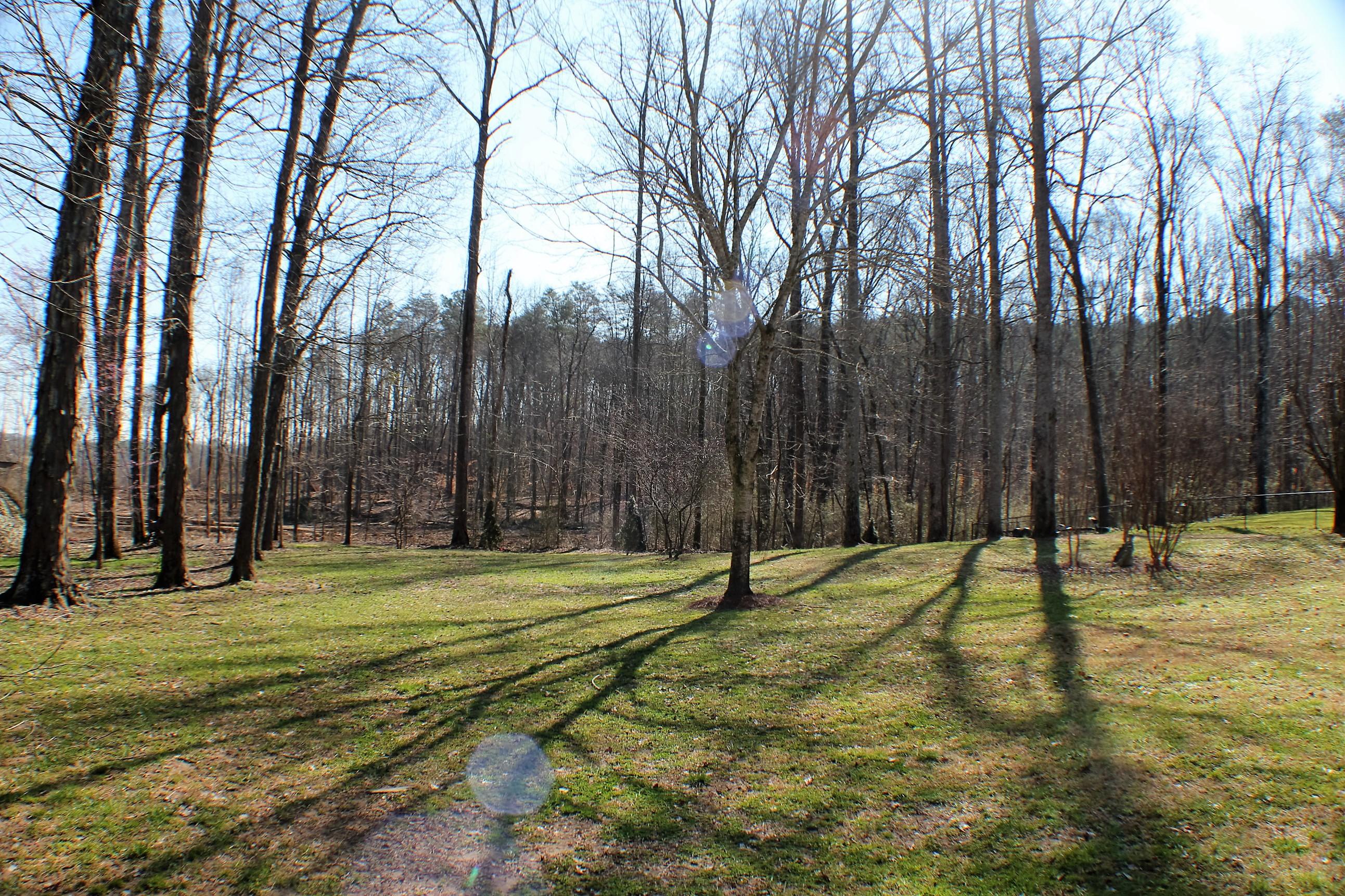 6422 Levi Road Hixson, TN 37343 - Photo 27 of 29 Backyard