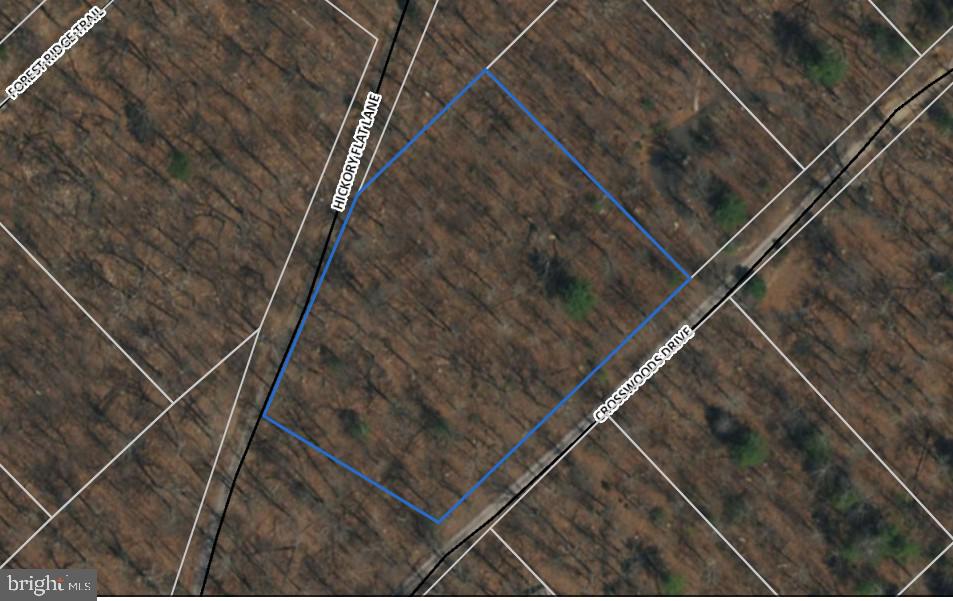0 Th Fort Valley Fort Valley, VA 22652 - Photo 1 of 1