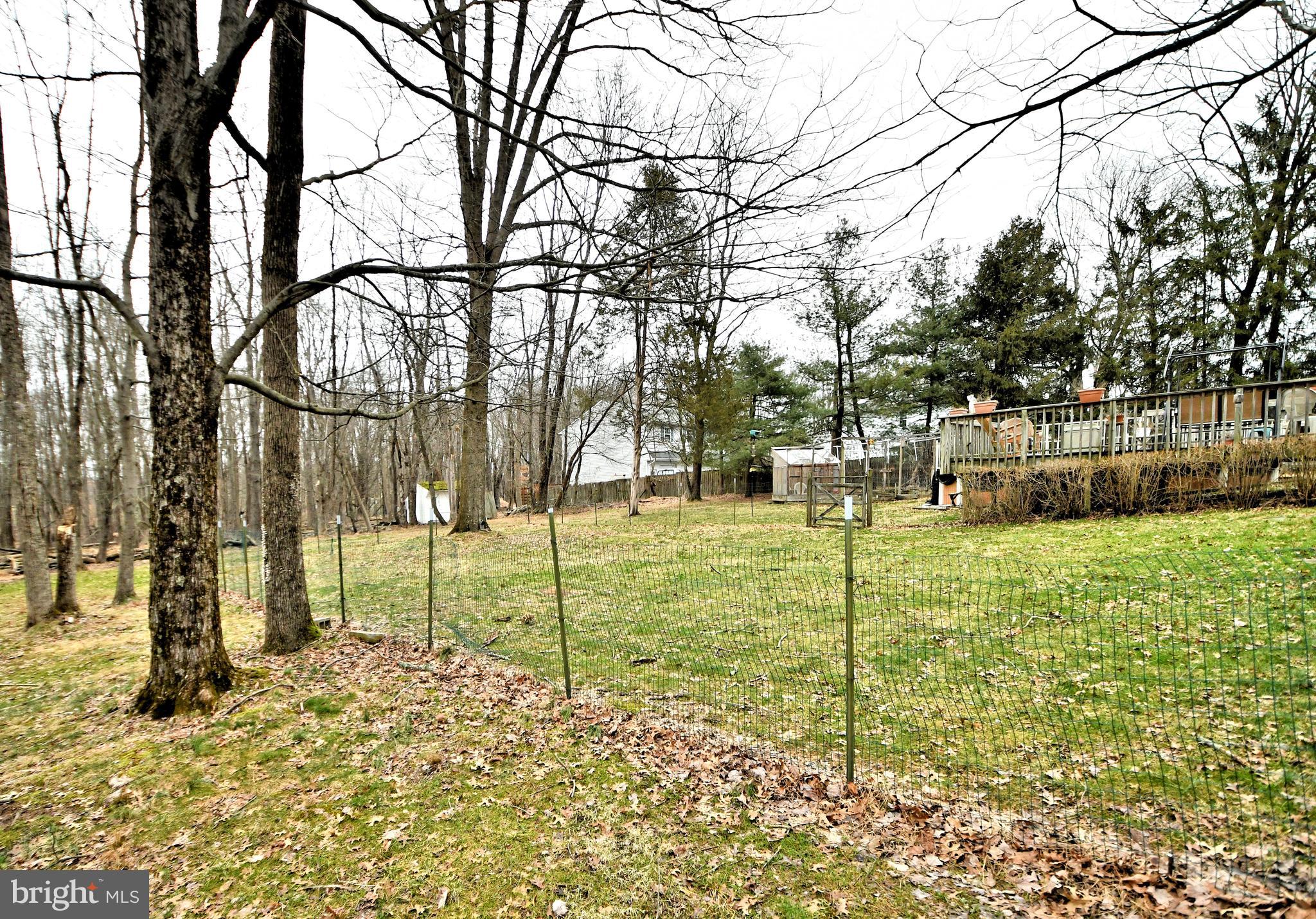 36 Ferry Road Doylestown, PA 18901 - Photo 49 of 59