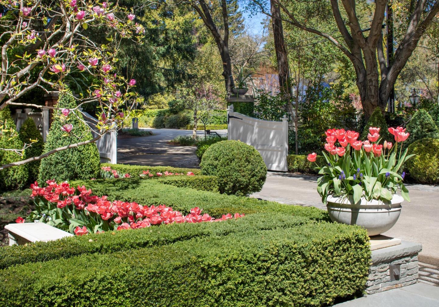 98 Stevenson Lane Atherton, CA 94027 - Photo 4 of 10 a view of a flower in a garden with a lot of flower plants