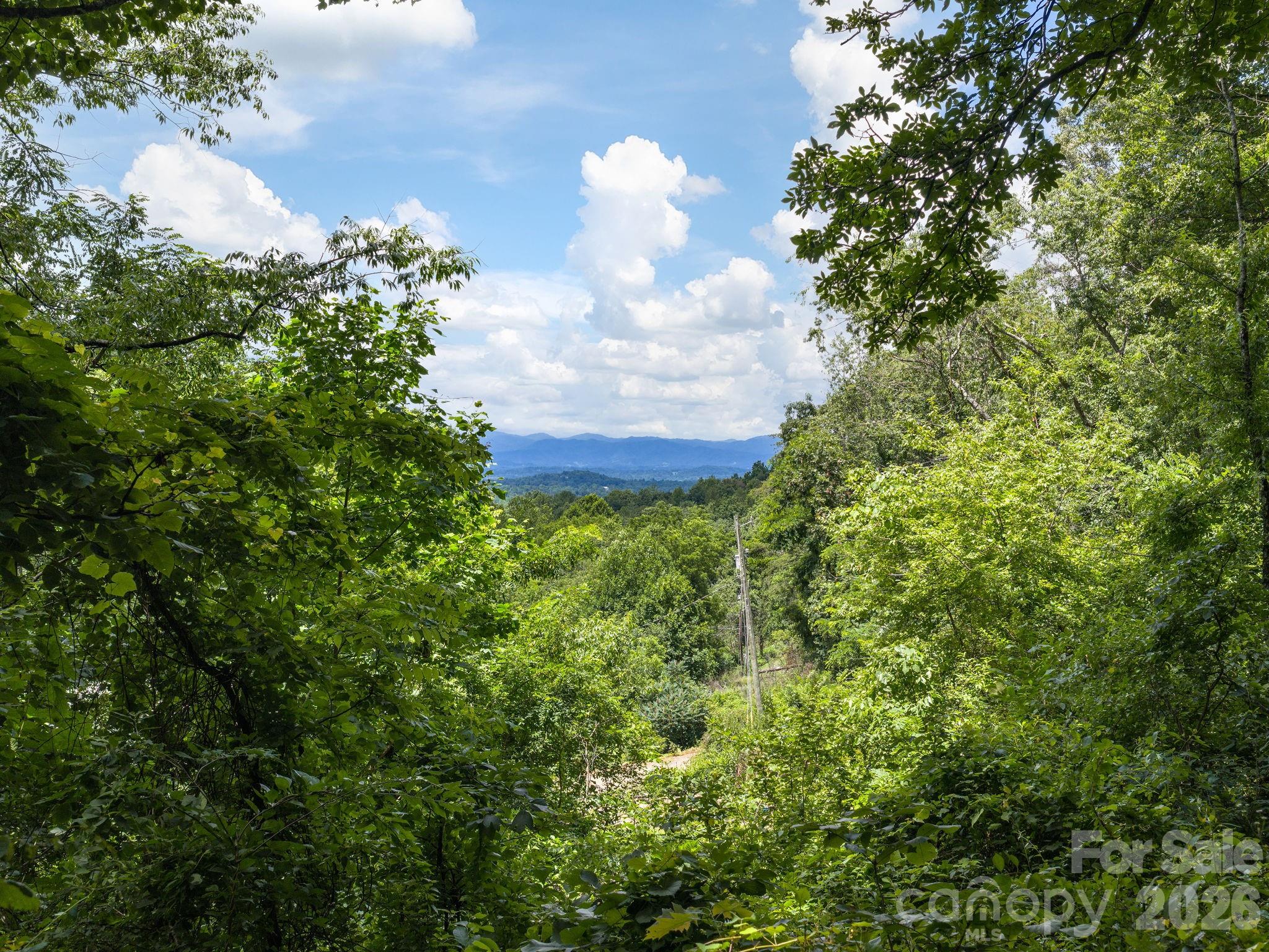 46 Perennial Ridge Weaverville, NC 28787 - Photo 34 of 44