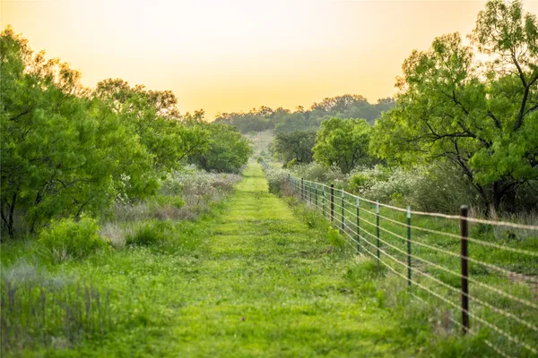 a view of a green field with lots of bushes