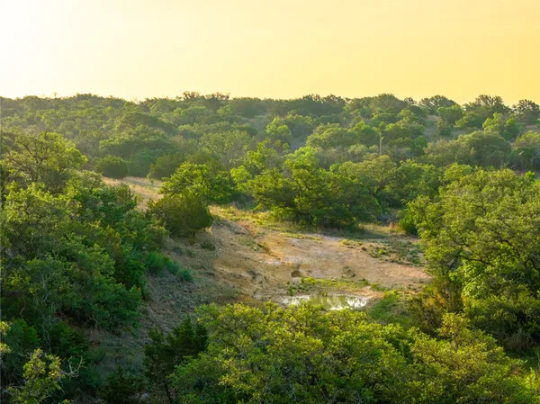 a view of a mountain range with lush green forest