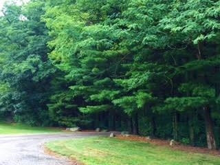 9650 Liss Road Willis, MI 48191 - Photo 3 of 10 Photo 3