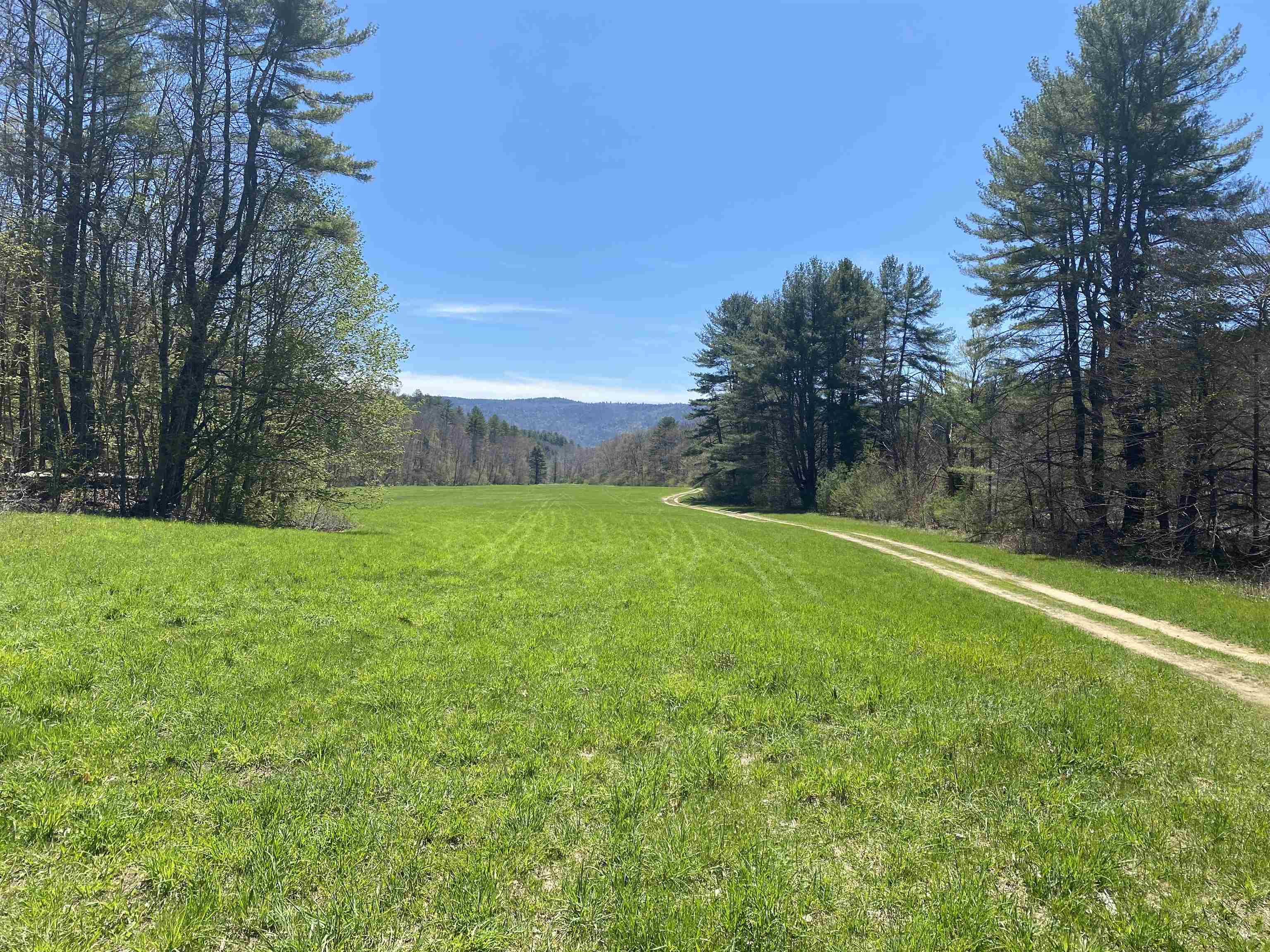 0 Ellen Ware Road Newfane, VT 05345 - Photo 2 of 9