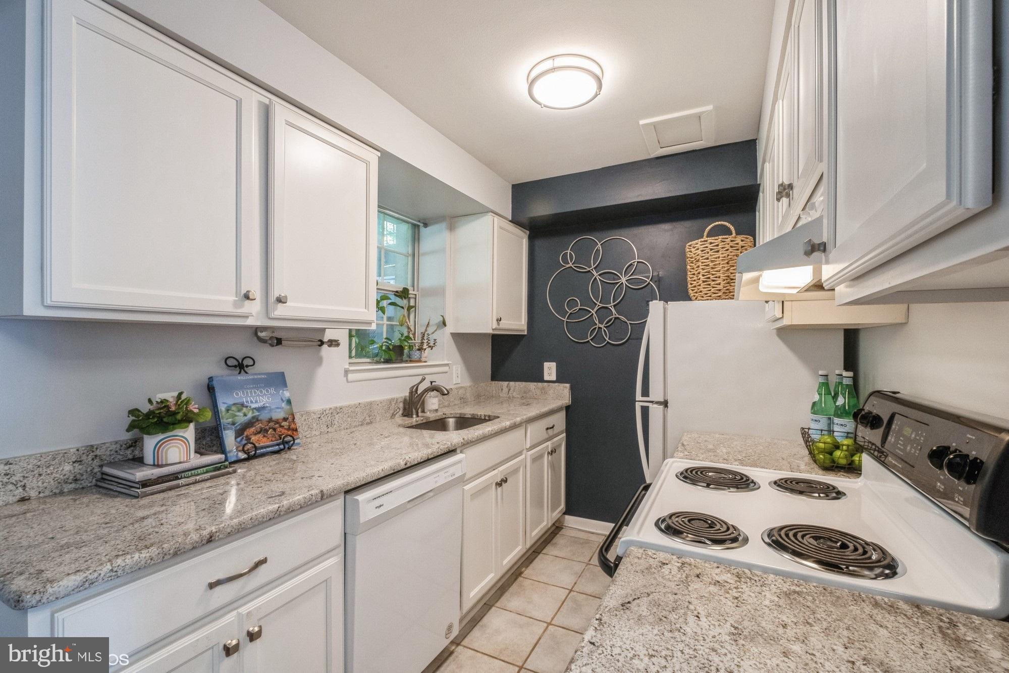 4646 28th Road South, Unit A Arlington, VA 22206 - Photo 19 of 38 Stainless steel sink with view out to the back
