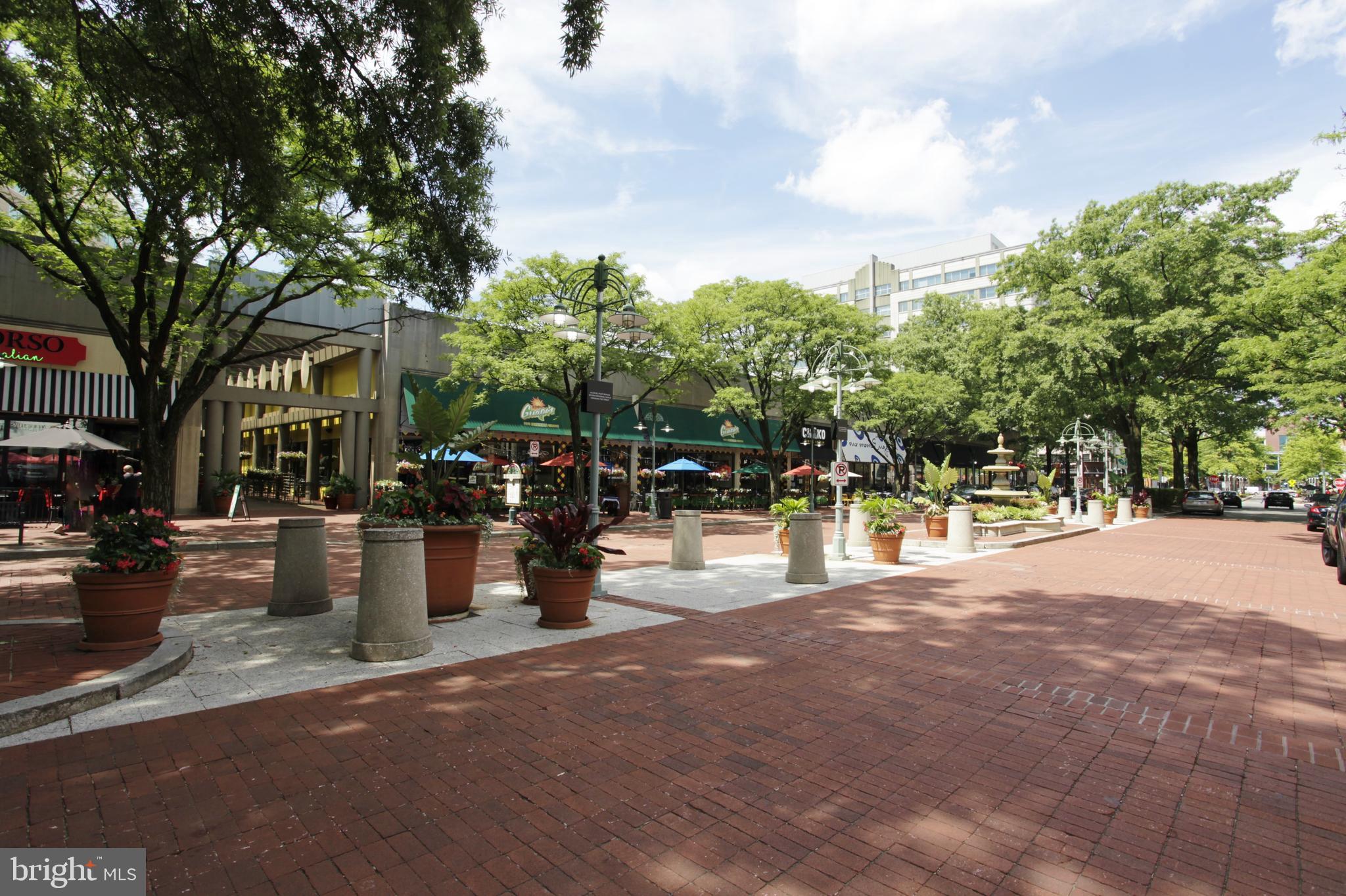 4646 28th Road South, Unit A Arlington, VA 22206 - Photo 33 of 38 Fabulous shopping, dining & entertainment close-by