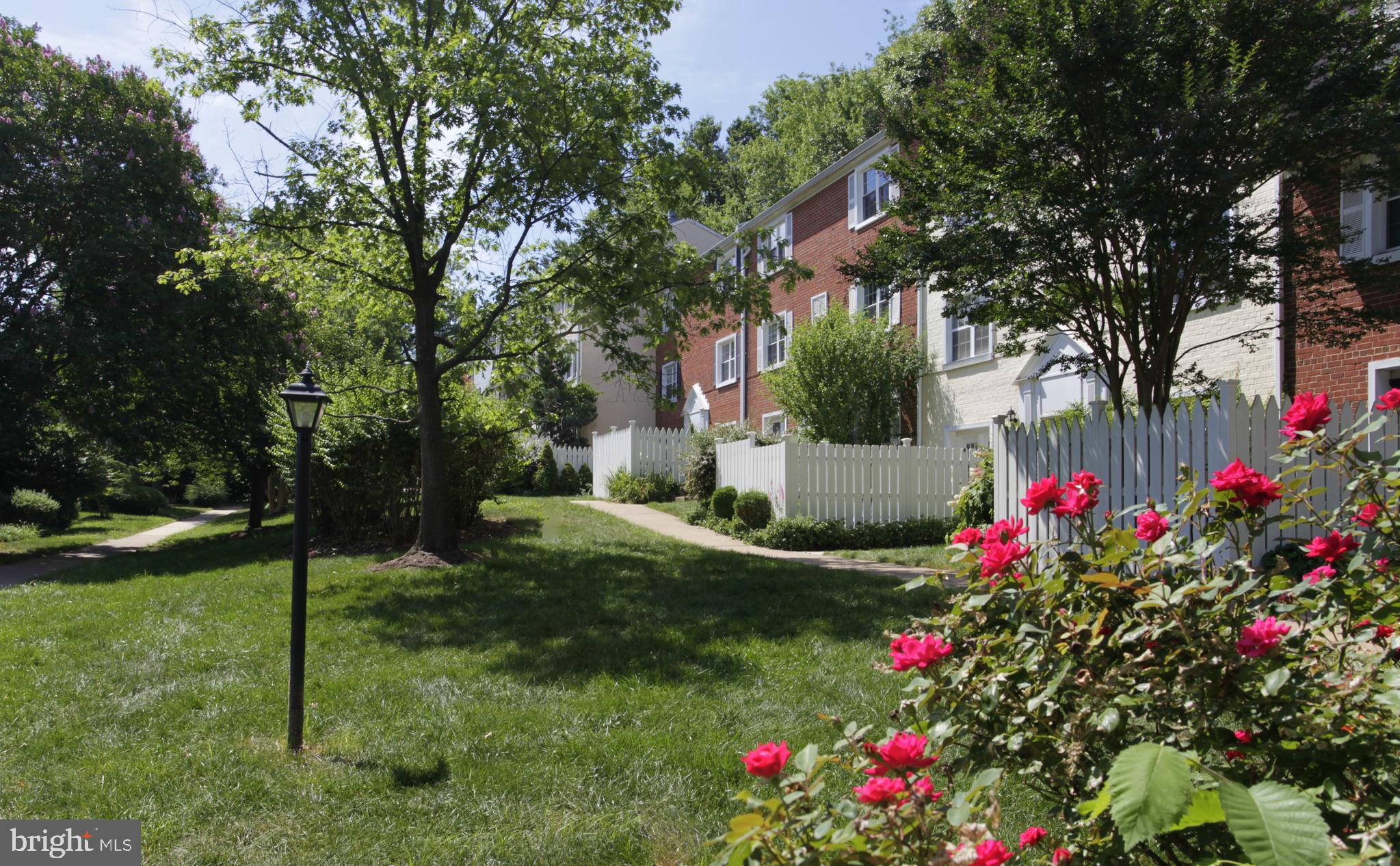 4646 28th Road South, Unit A Arlington, VA 22206 - Photo 4 of 38 Quiet park-like setting less than 5 miles from DC!