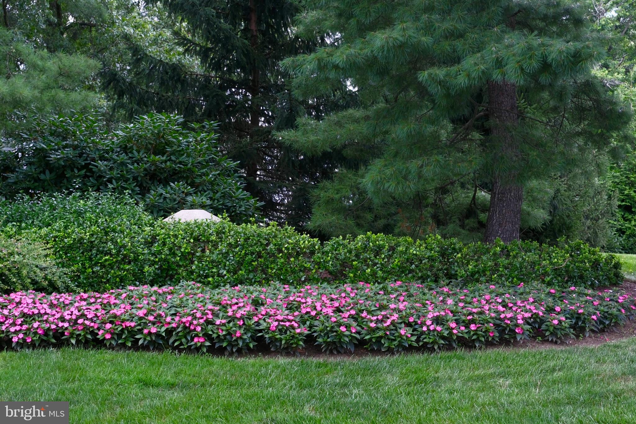 307 Trinity Court, Unit 4 Princeton, NJ 08540 - Photo 35 of 39 a view of a garden