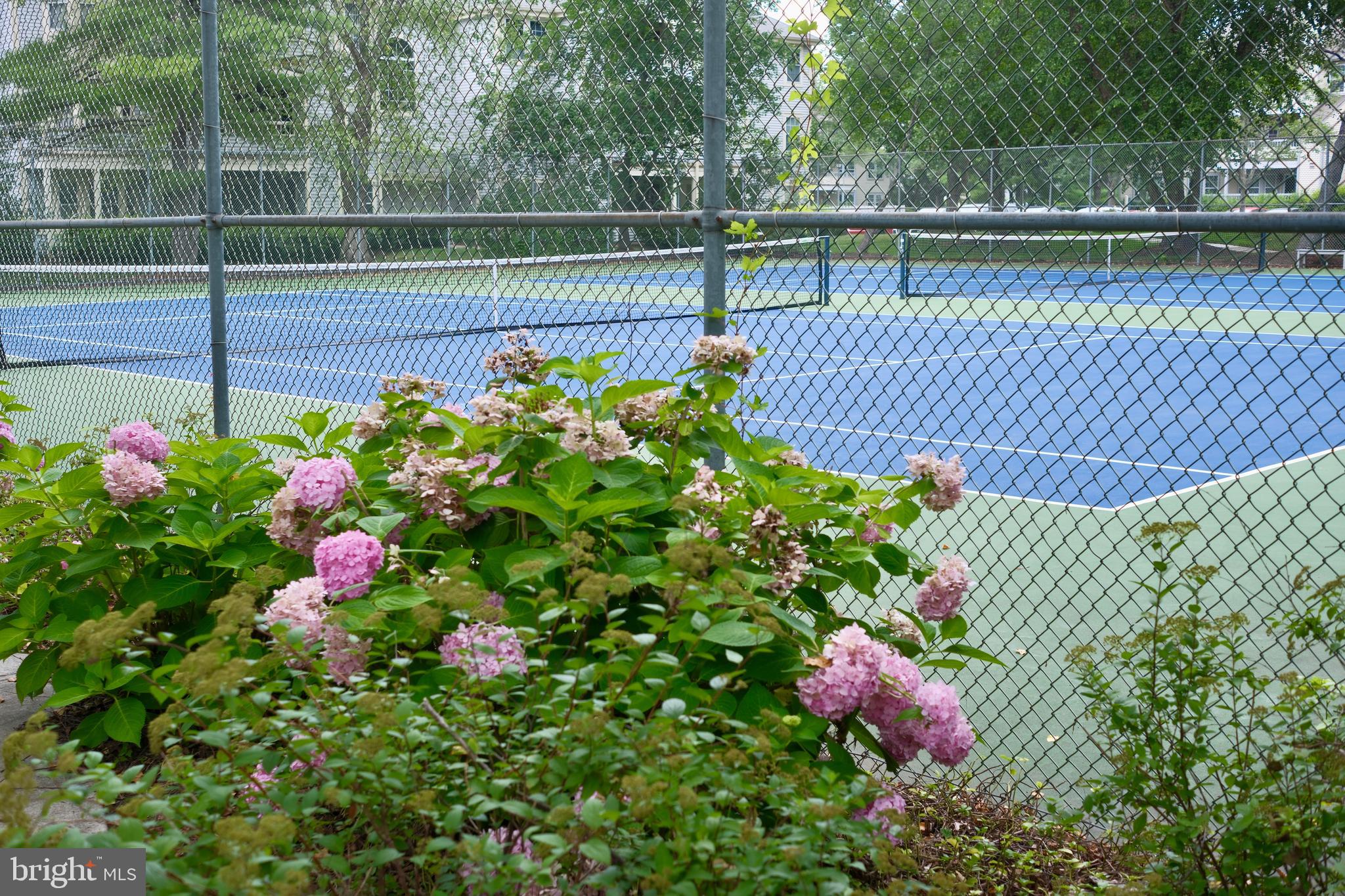 307 Trinity Court, Unit 4 Princeton, NJ 08540 - Photo 38 of 39 a view of a bench in the garden