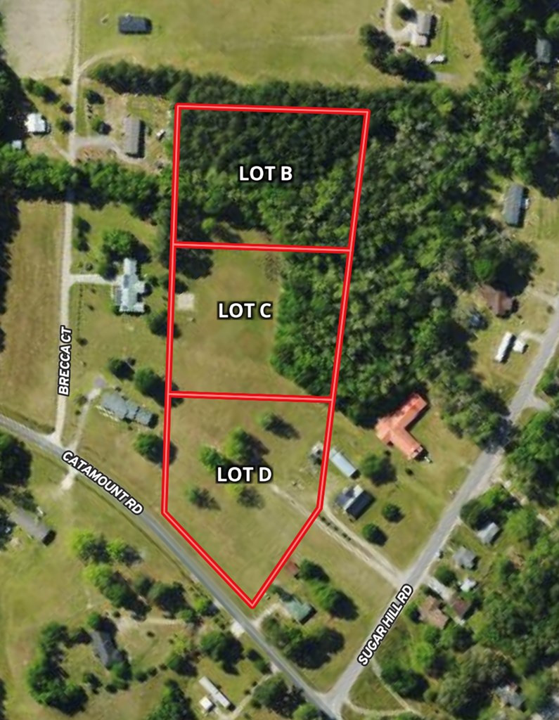 Tbd Tbd Road Holly Hill, SC 29059 - Photo 5 of 5