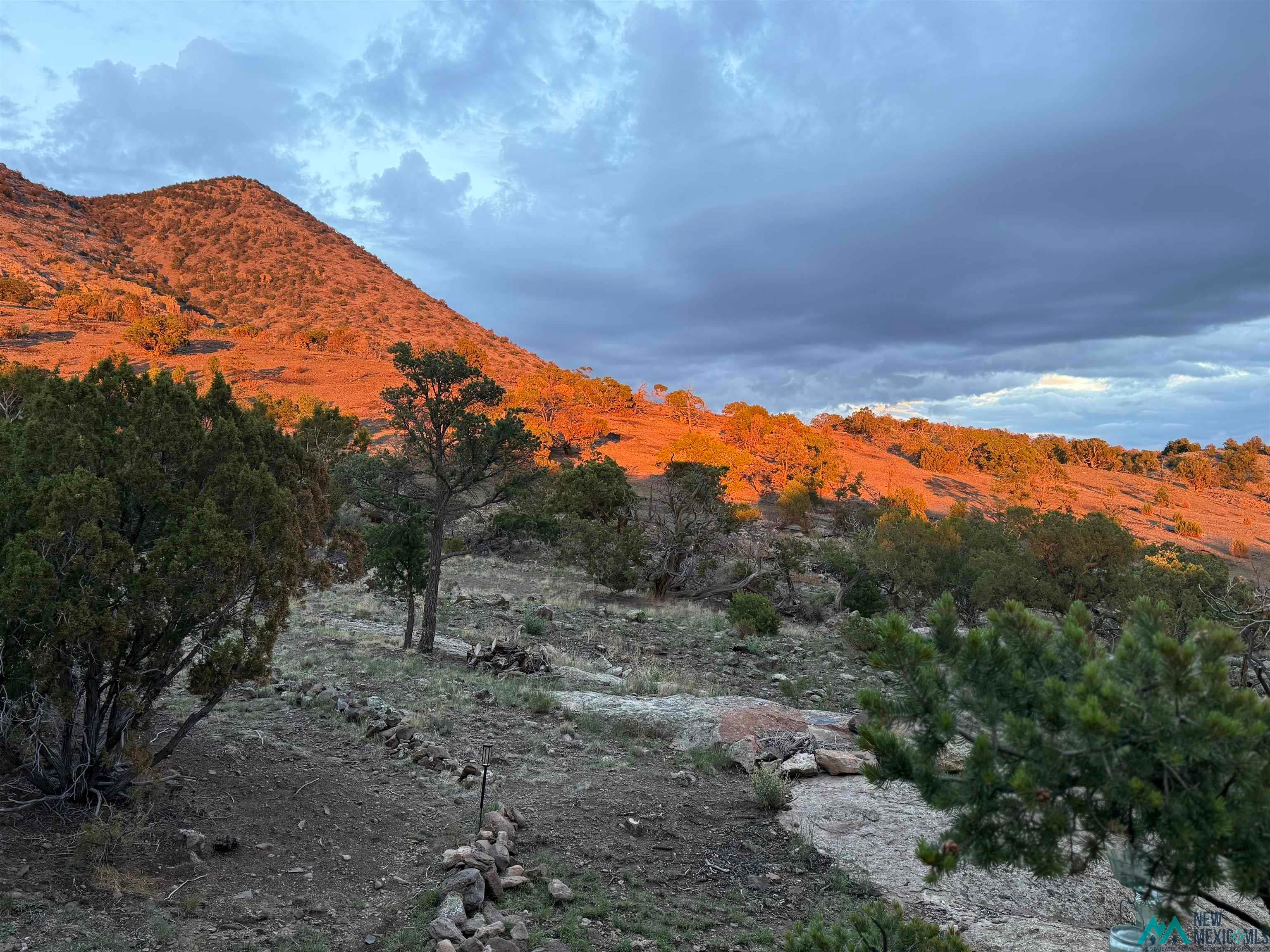 70 Beartrack Trail Datil, NM 87821 - Photo 42 of 43 Gallery Image 42