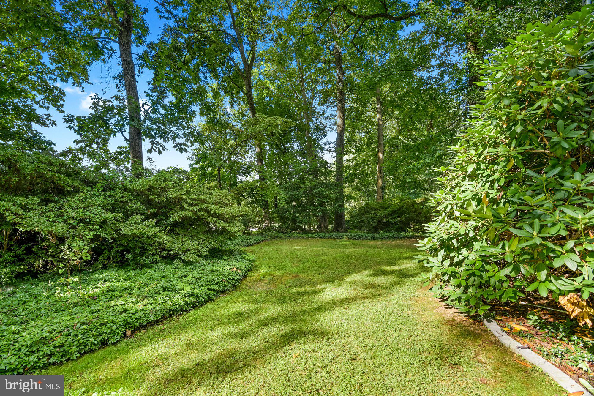 13907 Foxland Road Phoenix, MD 21131 - Photo 24 of 48 Beautiful native shrubs & ground cover