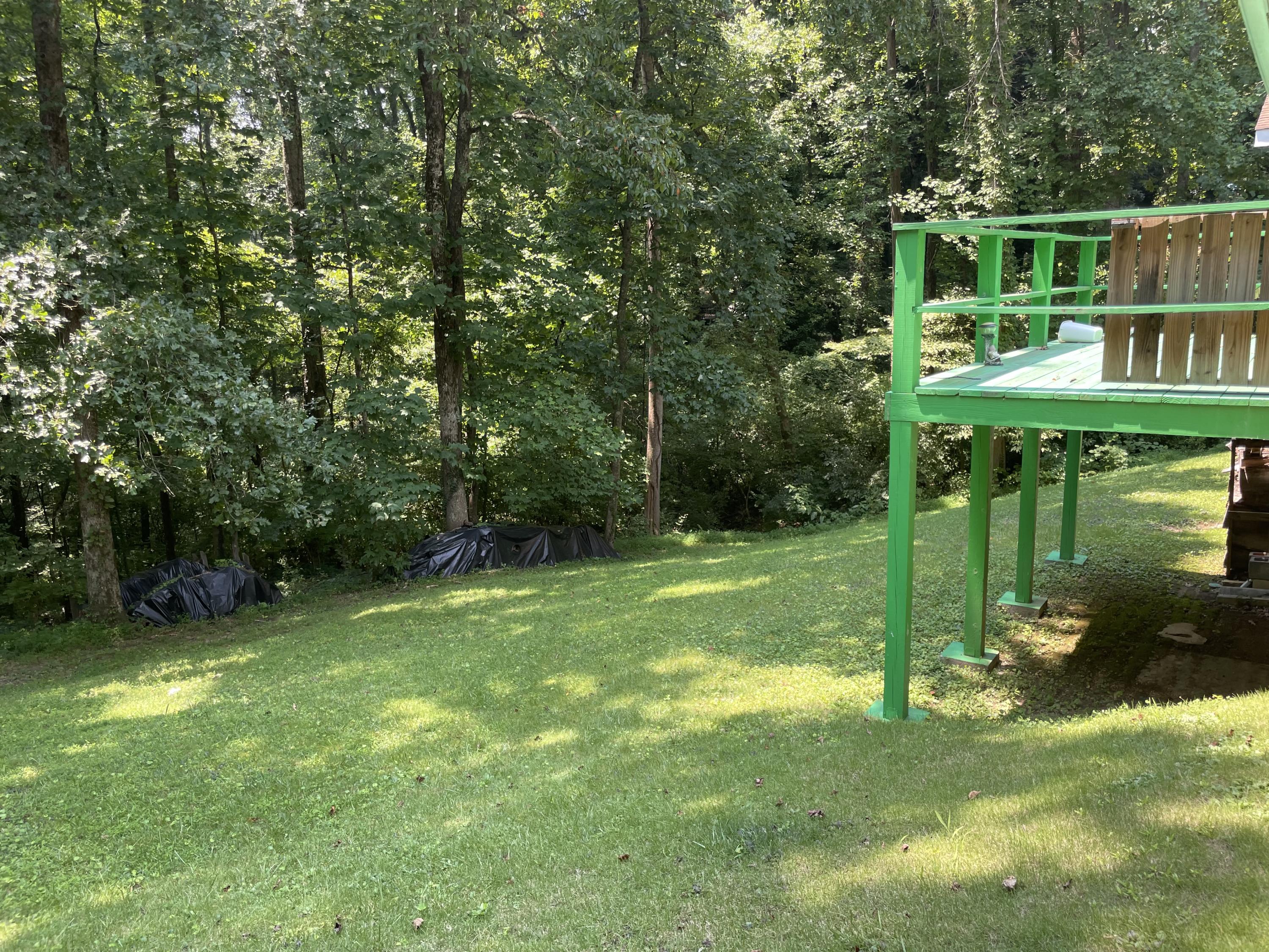 915 West Outer Drive Oak Ridge, TN 37830 - Photo 3 of 10 Private Backyard