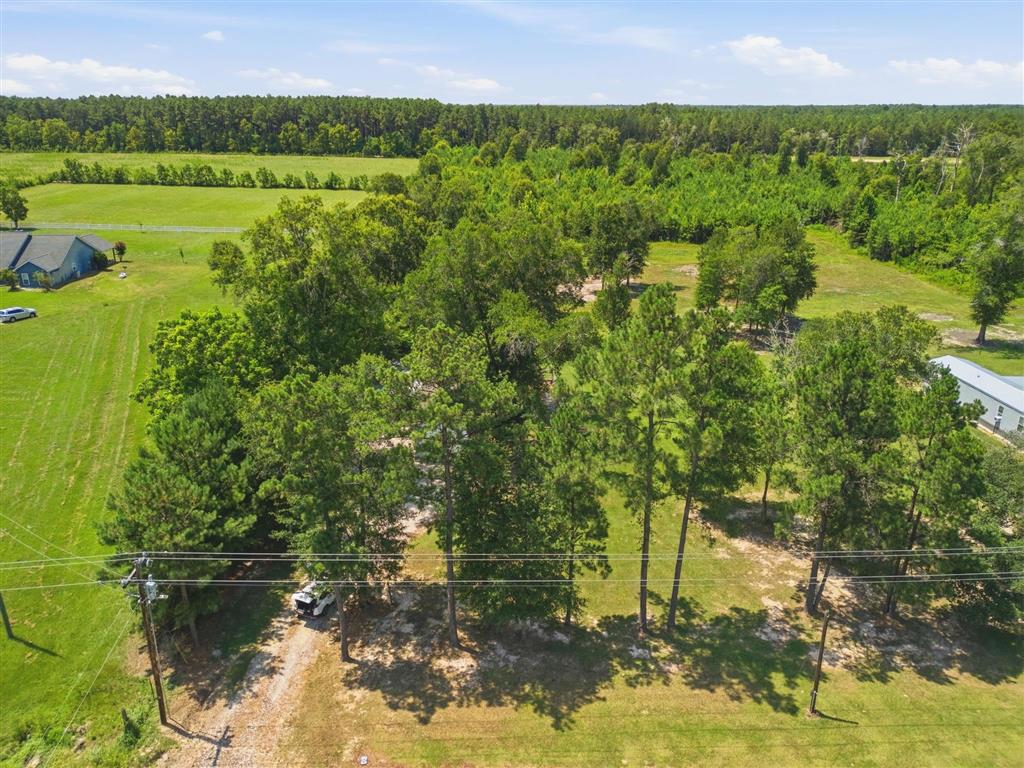 1864 Jack Nelson Road Deridder, LA 70634 - Photo 15 of 16
