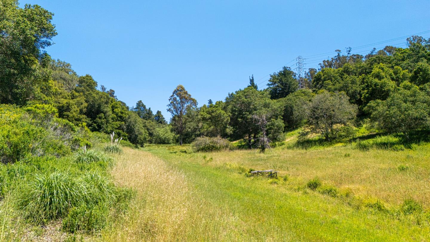 3554 Paul Sweet Road Santa Cruz, CA 95065 - Photo 7 of 18