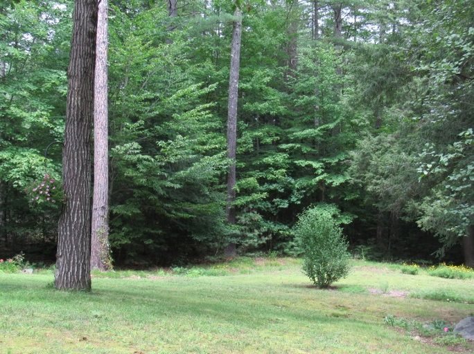 730 Bound Tree Road Hopkinton, NH 03229 - Photo 22 of 29