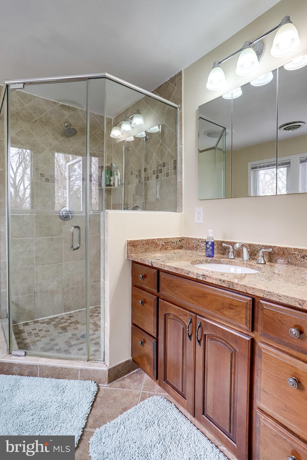 2763 Cameron Road Falls Church, VA 22042 - Photo 18 of 40 Primary Bath