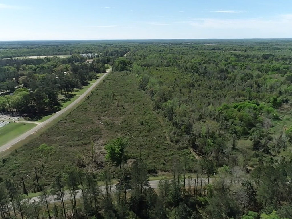18-ac 18-ac State Line Rd/sealy Springs Road Cottonwood, AL 36320 - Photo 19 of 31 Gallery Image 19