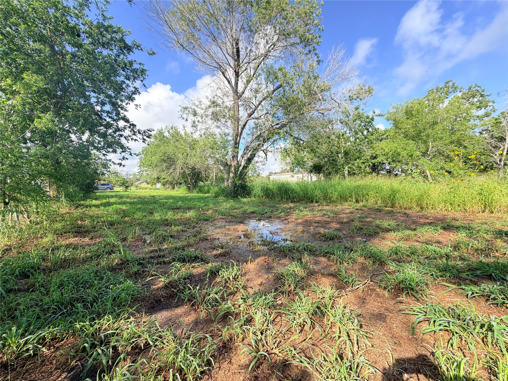 507 East Ward Street Refugio, TX 78377 - Photo 10 of 10