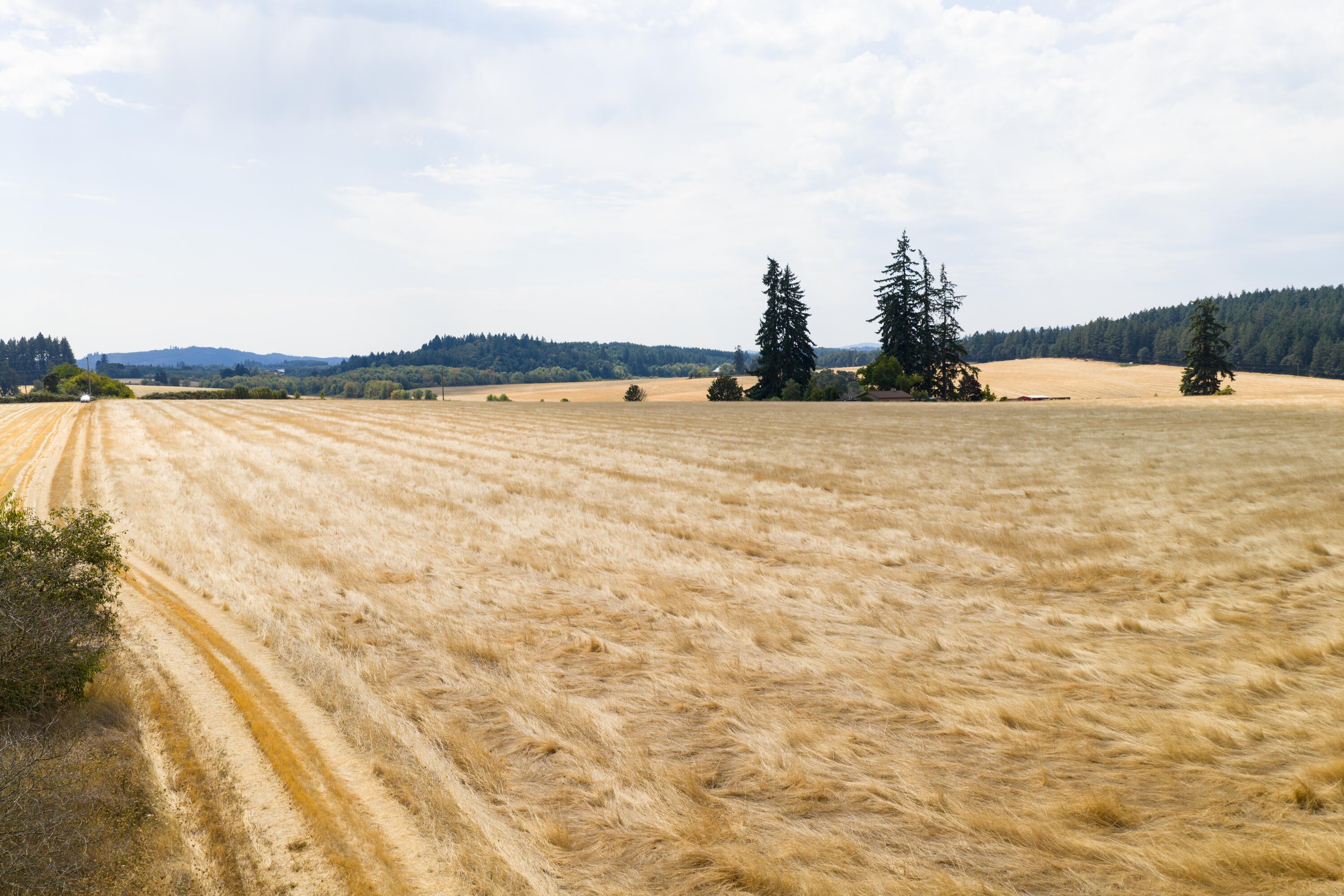 0 Dyck Road Dallas, OR 97338 - Photo 13 of 14 Gallery Image 13