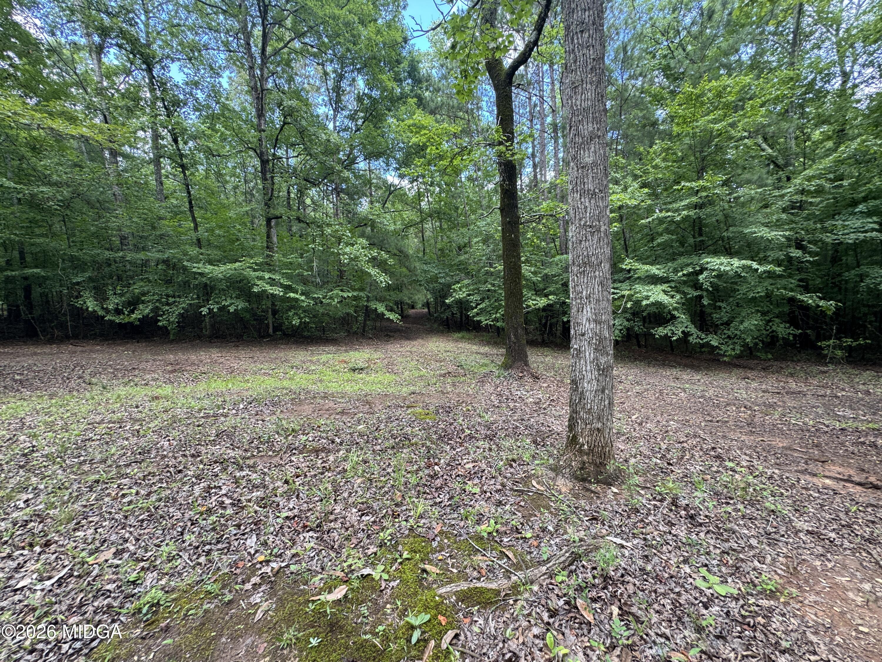 3413 Dames Ferry Road Forsyth, GA 31029 - Photo 10 of 23 9