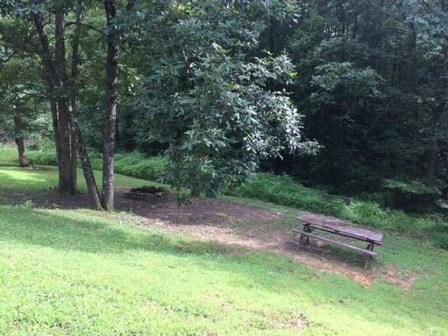1995 Jock Road Bee Spring, KY 42207 - Photo 31 of 31 Gallery Image 31