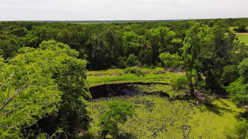 269 Balch Road Elgin, TX 78621 - Photo 28 of 39
