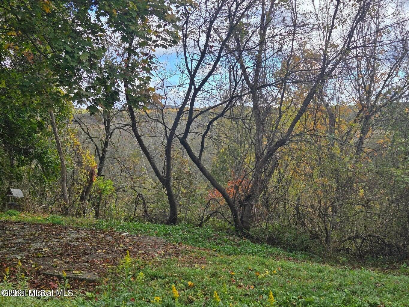 276 Otsquago Club Road Minden, NY 13339 - Photo 7 of 7 20241015145810500406000000-o