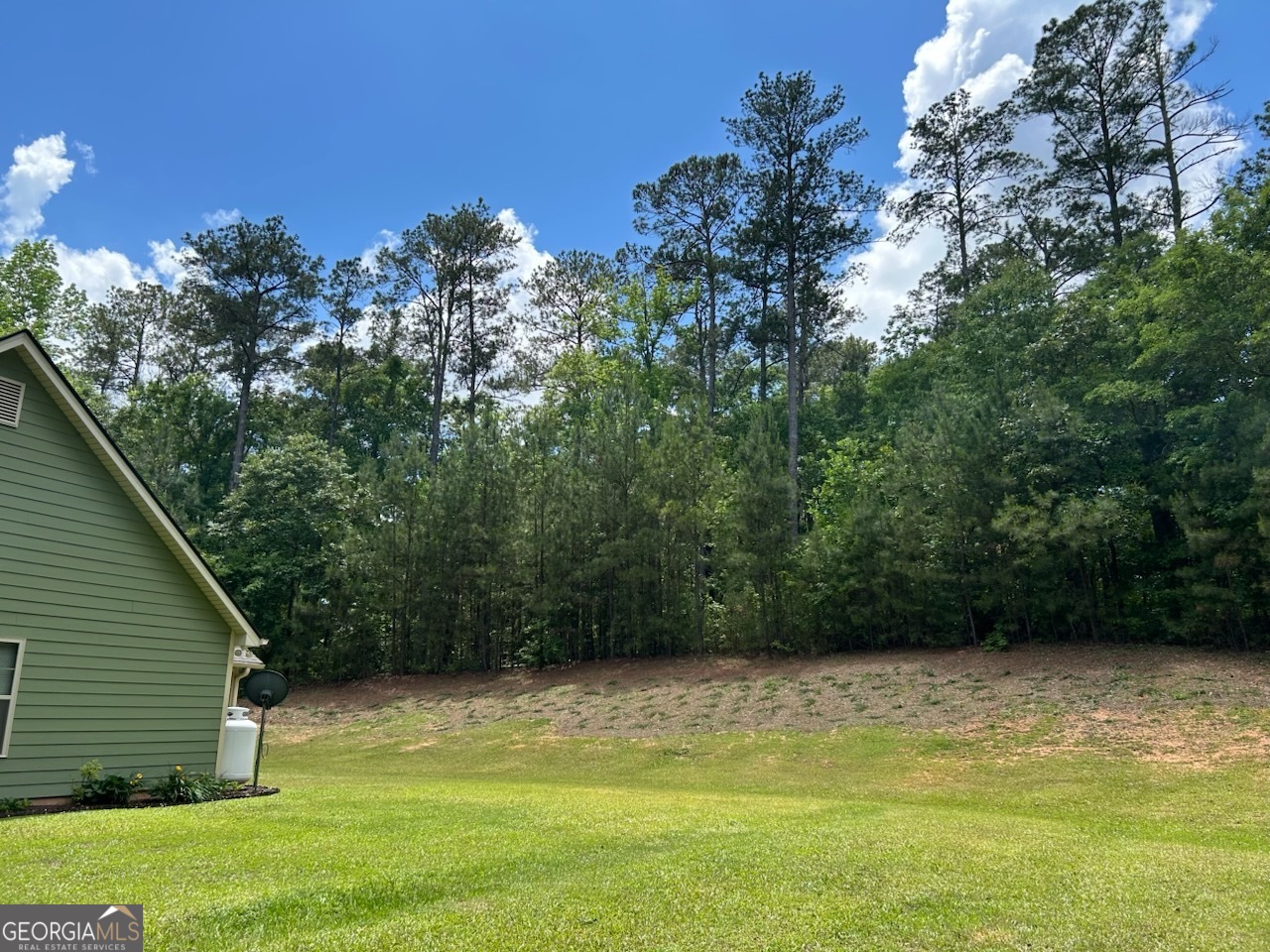 950 John Lovelace Road LaGrange, GA 30241 - Photo 5 of 48