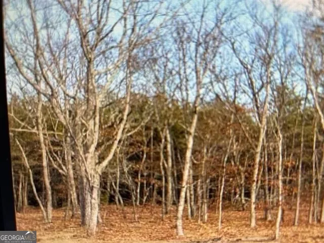 a view of a backyard of the house