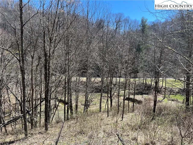 $89,000 | Lot 23-24 Cristina Lane, Vilas, NC 28692