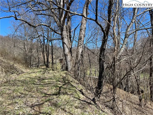 $89,000 | Lot 23-24 Cristina Lane, Vilas, NC 28692