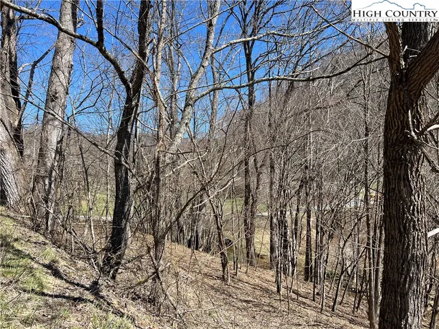 $89,000 | Lot 23-24 Cristina Lane, Vilas, NC 28692