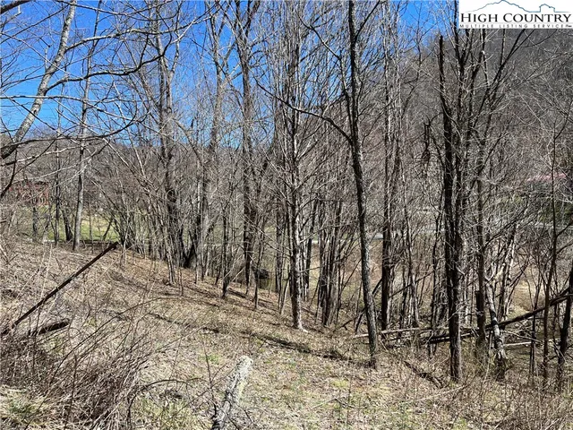 $89,000 | Lot 23-24 Cristina Lane, Vilas, NC 28692
