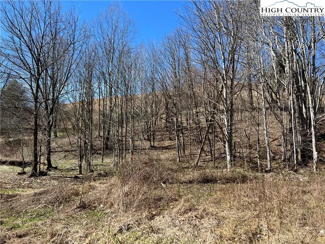 $89,000 | Lot 23-24 Cristina Lane, Vilas, NC 28692
