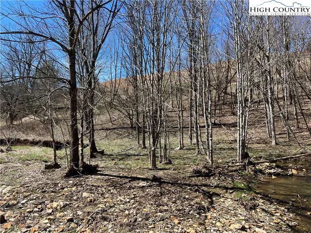 $89,000 | Lot 23-24 Cristina Lane, Vilas, NC 28692