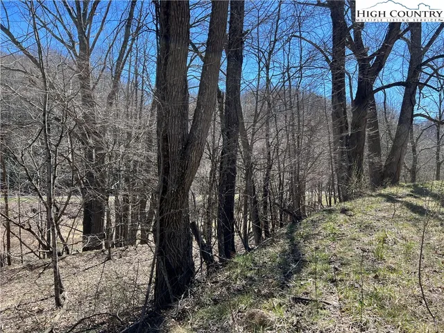 $89,000 | Lot 23-24 Cristina Lane, Vilas, NC 28692